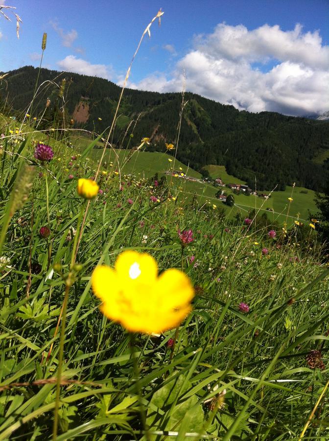 Goetschlhof Hotel Schladming Kültér fotó